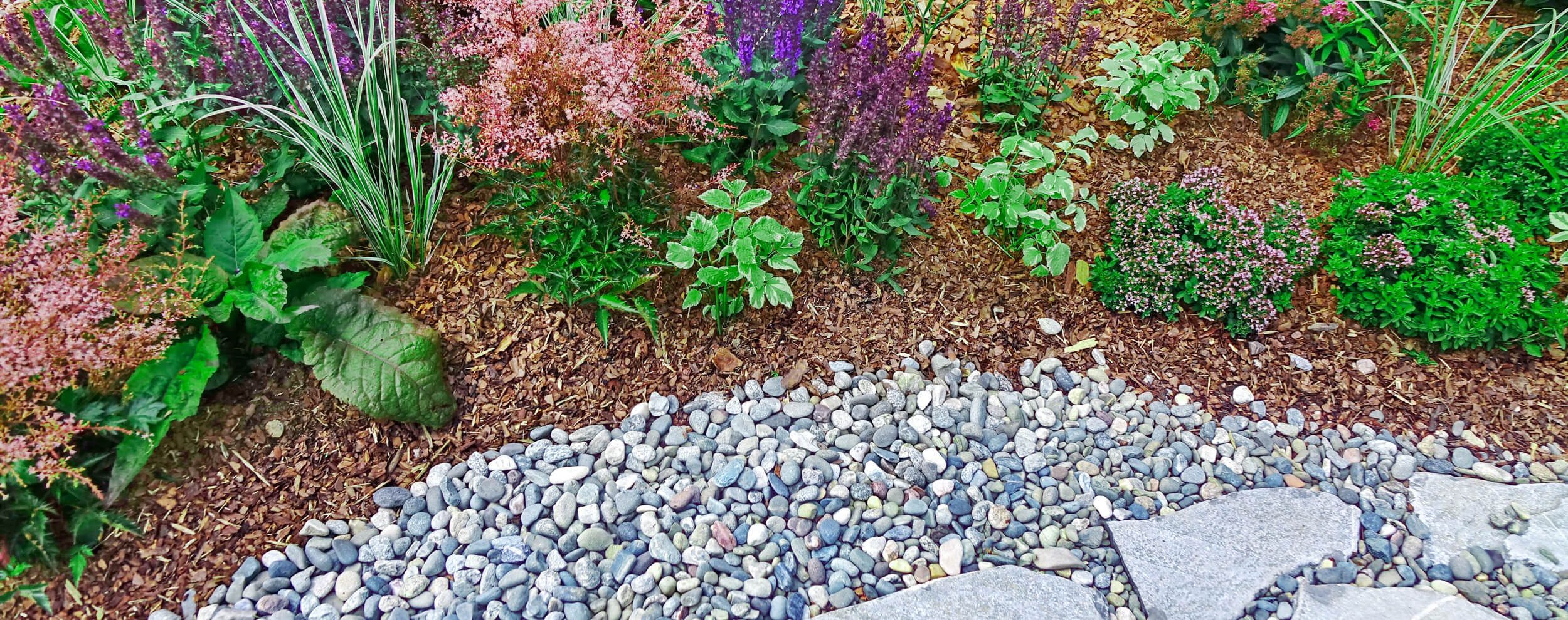 A garden path with stones and small herbs and flowers.